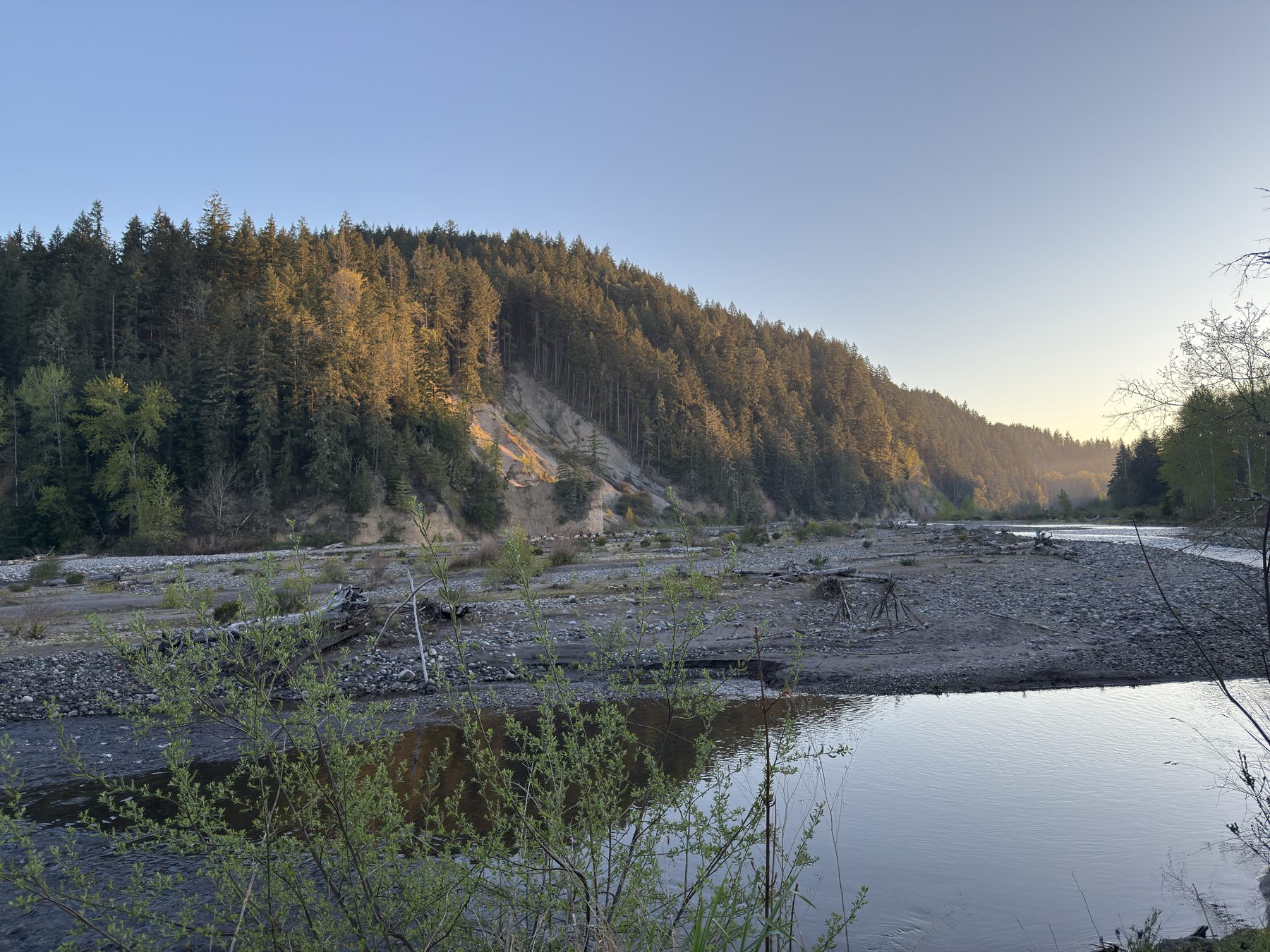 Carbon River, alternate view